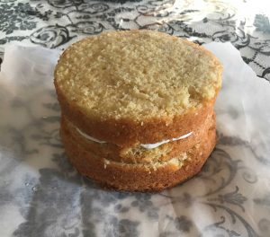 pan di spagna piccolo 2 strati